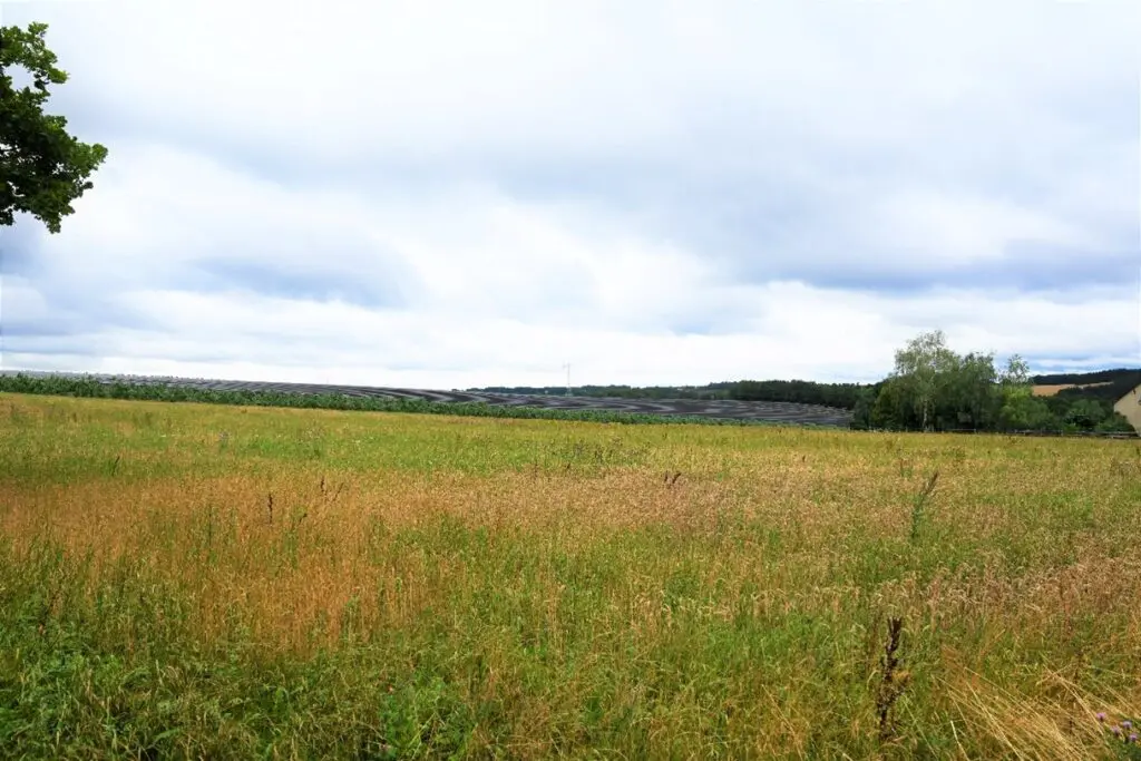 Foto des Grundstücks, auf dem der Solarpark entstehen soll