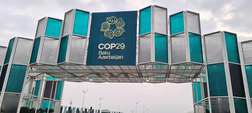 COP 29