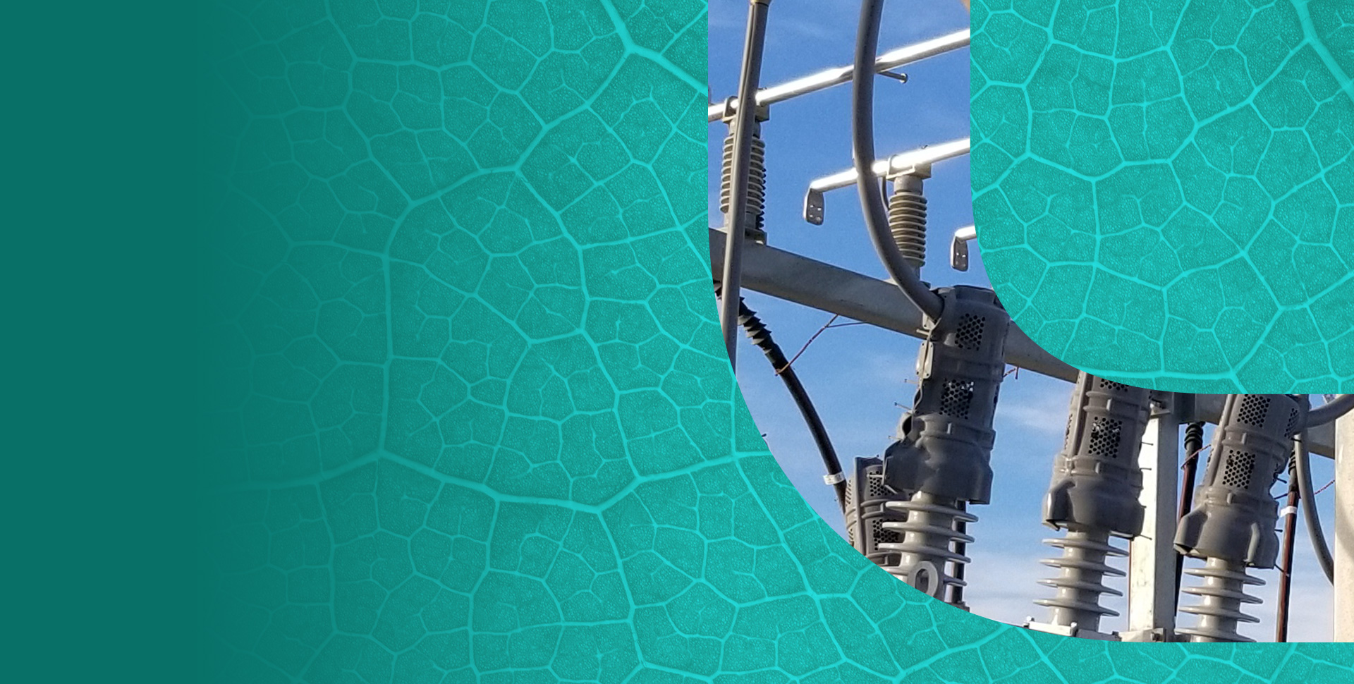 Transmission & distribution RES